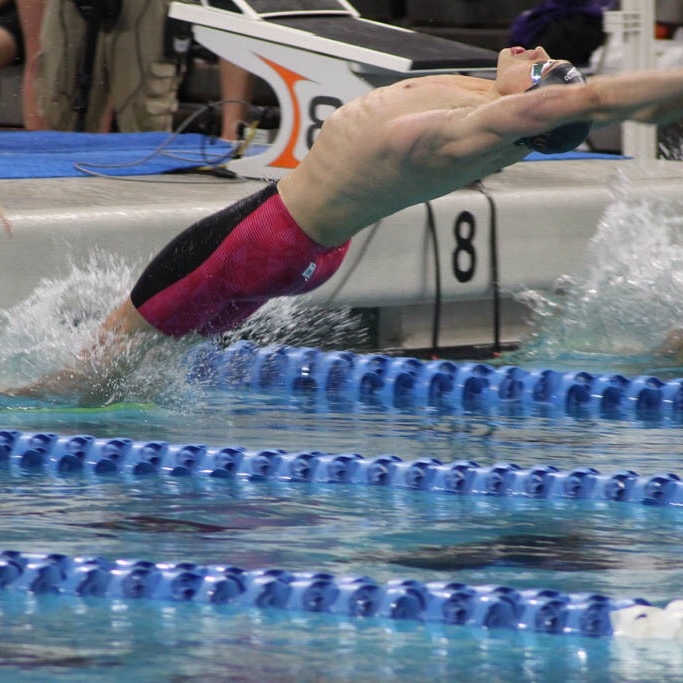 swimmer dives backwards into a pool